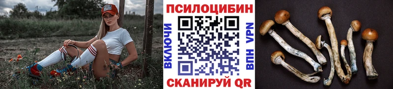 купить   Бронницы  Галлюциногенные грибы мухоморы 